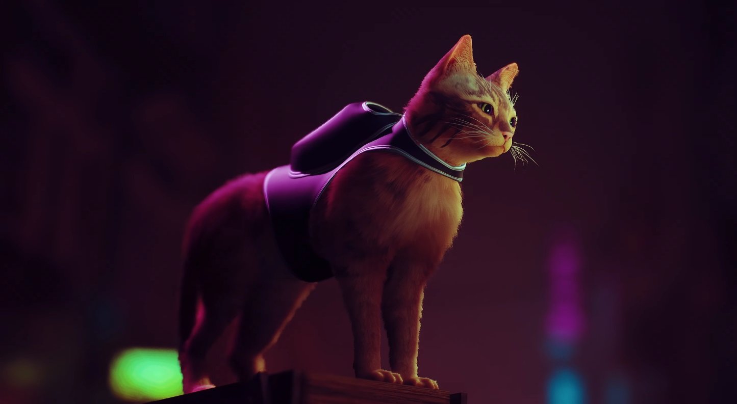 Презентация Sony: анонсирована игра Stray про котиков с рюкзачками