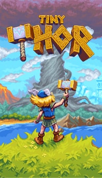 Постер к игре Tiny Thor